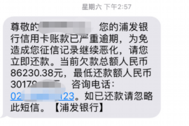 娄星要账公司更多成功案例详情